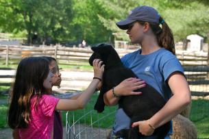Caring for Animals at Camp
